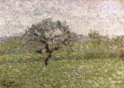 Camille Pissarro Apple Spain oil painting artist